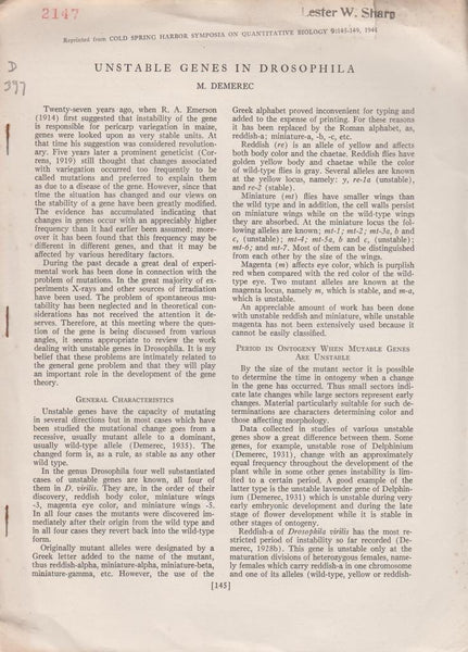 Unstable Genes in Drosophila