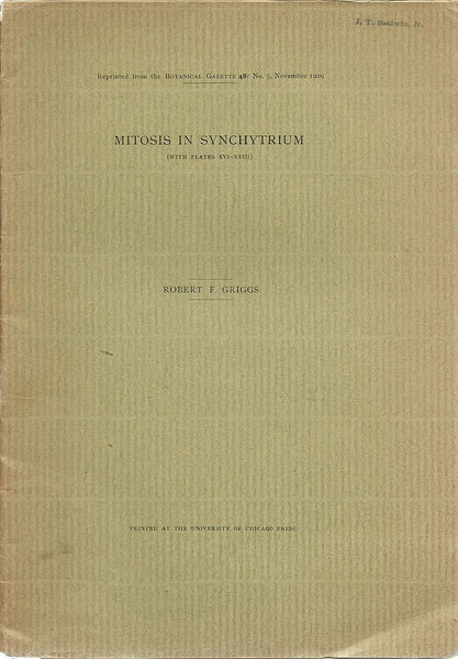 Mitosis in Synchytrium