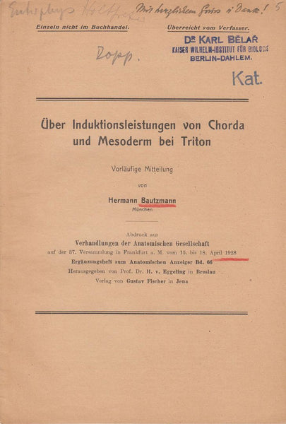 Uber Induktionsleistungen von Chorda und Mesoderm bei Triton
