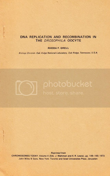 DNA Replication and Recombination in the Drosophila Oocyte
