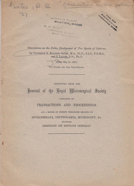 X. Observations on the Pollen Development of Two Species of Lathraea