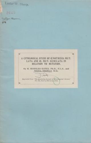 A Cytological Study of Cenothera Mut. Lata and Ce. Mut. Semilata in Relation to Mutation