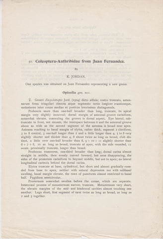 Coleoptera-Anthribidae from Juan Fernandez