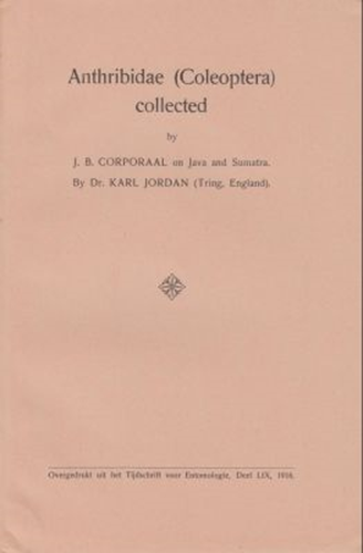 Anthribidae (Coleoptera) Collected