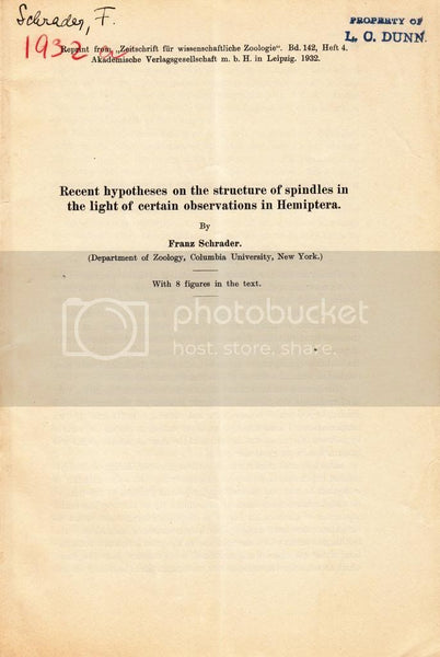 Recent Hypotheses on the Structure of Spindles in the Light of Certain Observations in Hemiptera