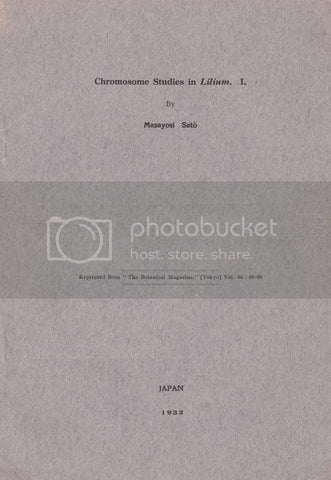 Chromosome Studies in Lilium I.