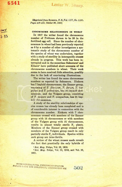Chromosome Relationships in Wheat
