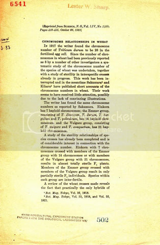 Chromosome Relationships in Wheat
