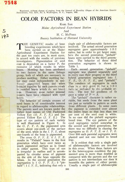 Color Factors in Bean Hybrids