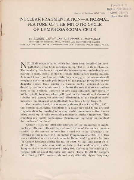 Nuclear Fragmentation--A Normal Feature of the Mitotic Cycle of Lymphosarcoma Cells