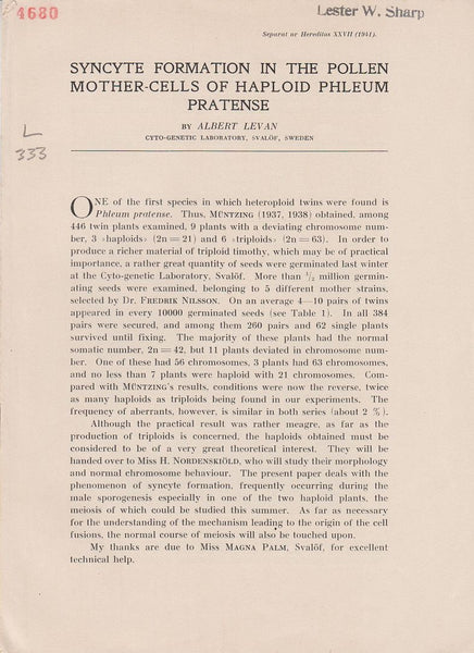 Syncyte Formation in the Pollen Mother-Cells of Haploid Phleum Pratense