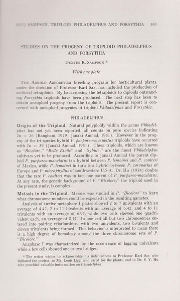 Studies on the Progeny of Triploid Philadelphus and Forsythia