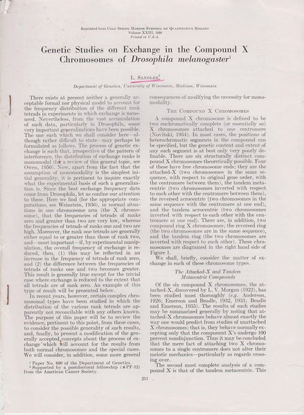 Genetic Studies on Exchange in the Compound X Chromosomes of Drosophila Melanogaster
