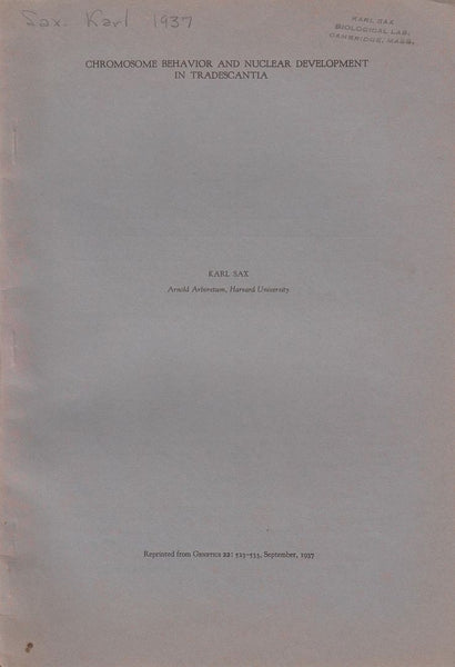 Chromosome Behavior and Nuclear Development in Tradescantia