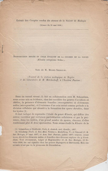 Reproduction Sexuee et Cycle Evolutif de la Coccidie de la Seiche (Klossia Octopiana Schn.)