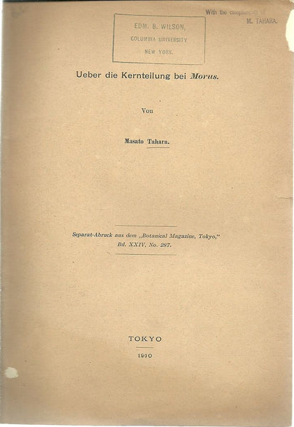 Ueber die Kernteilung bei Morus