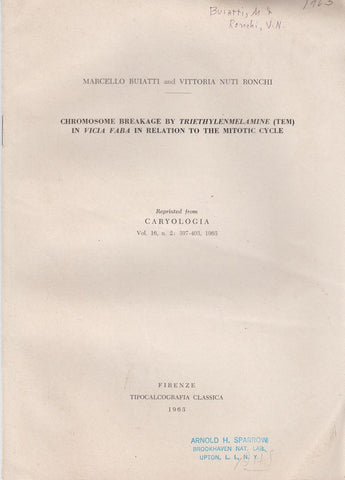 Chromosome Breakage by Triethylenmelamine (Tem) in Vicia Faba in Relation to the Mitotic Cycle