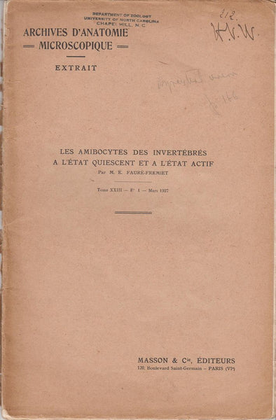 Les Amibocytes des Invertebres a L'Etat Quiescent et a L'Etat Actif