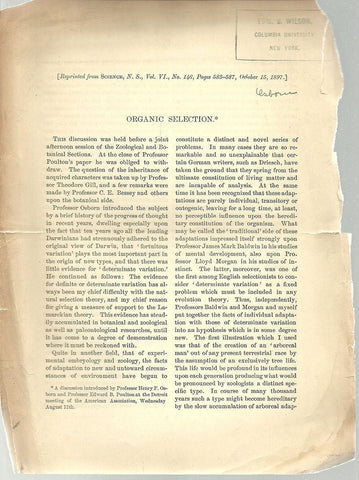 3 offprints from Henry F. Osborn.  1857-1935 Geologist, Paleontologist, President of the American Museum of Natural History for 25 years