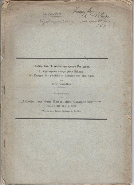 Studien ├â┬╝ber krankheitserregende Protozoen: I. Cyclospora caryolitica Shaud., der Erreger der pernici├â┬Âsen Enteritis des Maulwurfs