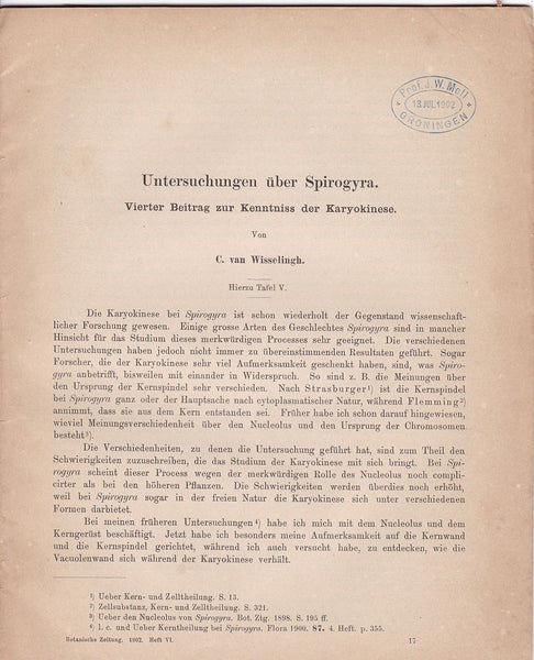 Untersuchungen uber Spirogyra