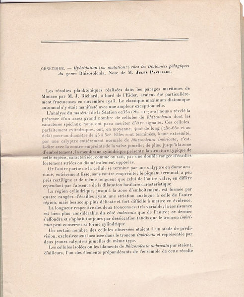 Hybridation (ou Mutation?) chez les Diatomees pelagiques du genre Rhizosolenia.