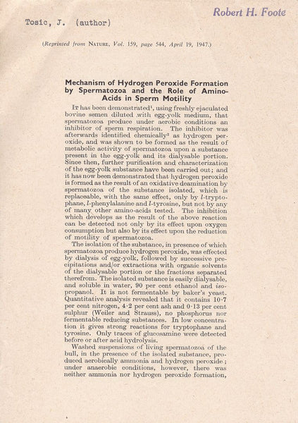 Mechanism of Hydrogen Peroxide Formation by Spermatoza and the Role of Amino Acids in Sperm Motility