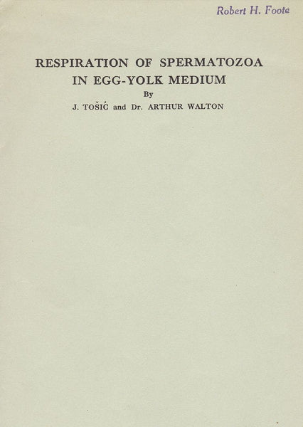 Respiration of Spermatozoa in Egg-Yolk Medium