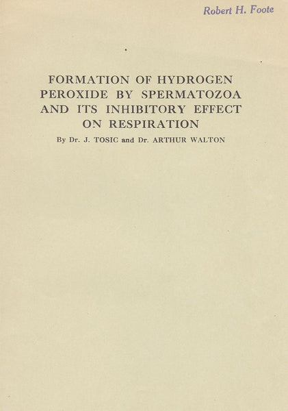Formation of Hydrogen Peroxide by Spermatozoa and its Inhibitory effect on Respiration