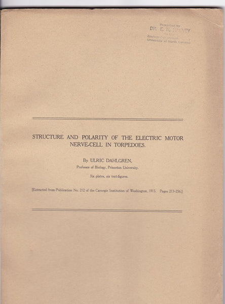 Structure and Polarity of the electric Motor Nerve-Cell in Torpedoes