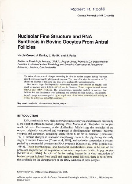 Nucleolar Fine Structure and RNA Synthesis in Bovine Oocytes from Antral Follicles