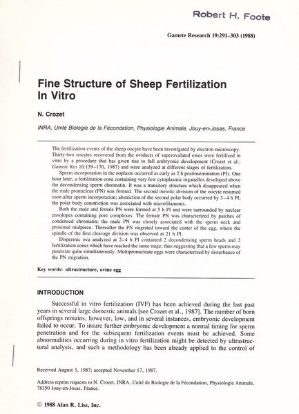 Fine Structure of Sheep Fertilization in Vitro