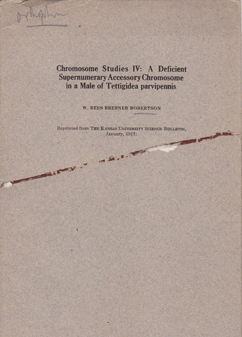 Chromosome Studies IV: A Deficient Supernumerary Accessory Chromosome in a Male of Tettigidea Parvipennis