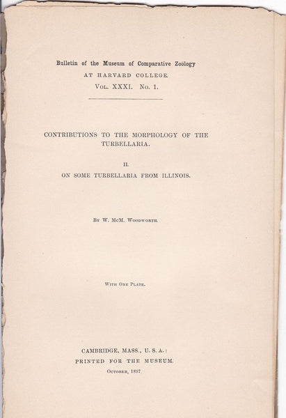 Contributions to the Morphology of the Turbellaria II. ON some Turbellaria From Illinois