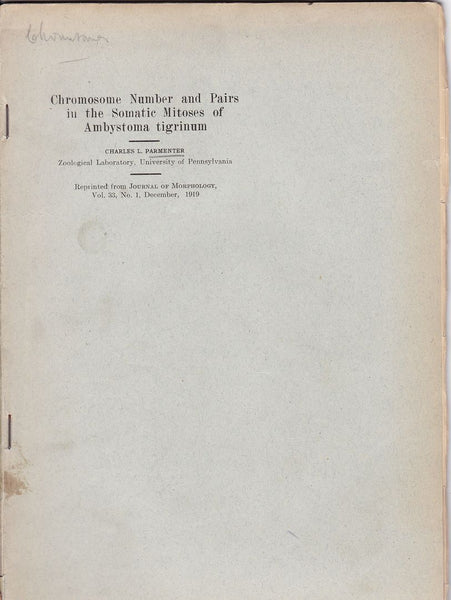 Chromosome Number and Pairs in the Somatic Mitoses of Ambystoma tigrinum