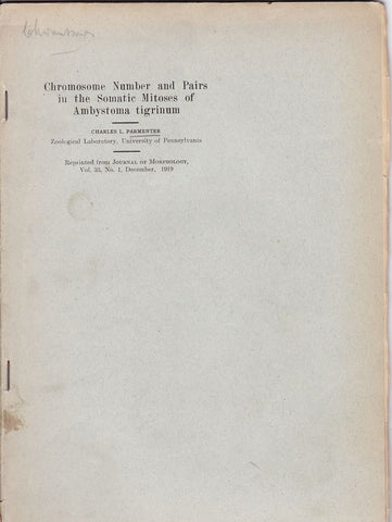 Chromosome Number and Pairs in the Somatic Mitoses of Ambystoma tigrinum