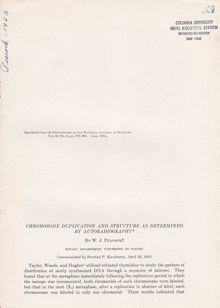 Chromosome Duplication and Structure as Determined by Autoradiography