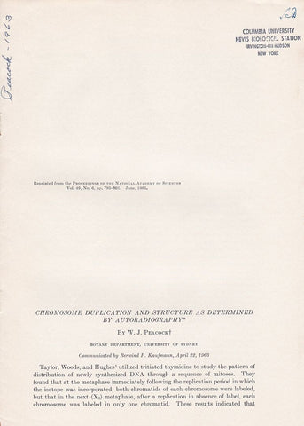 Chromosome Duplication and Structure as Determined by Autoradiography