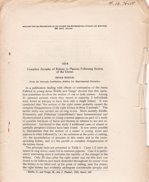 Complete Atrophy of Kidney in Pigeons Following Section of the Ureter