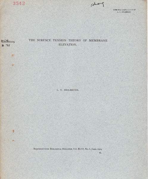 The Surface Tension Theory of Membrane Elevation