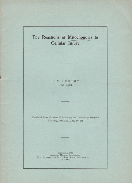 The Reactions of Mitochondria to Cellular Injury