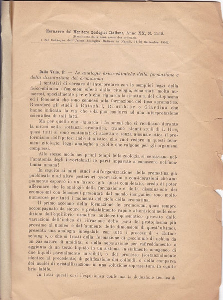 Le Analogie Fisico-chimiche della formazione e della dissoluzione dei cromosomi