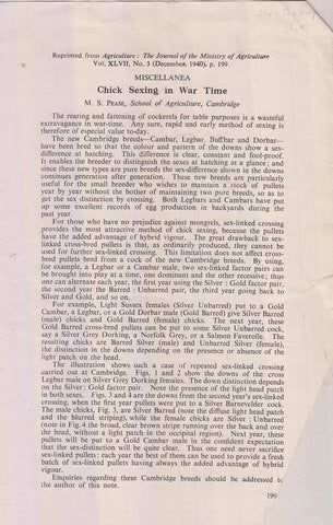 Chick Sexing in War Time  by Pease, M.S.