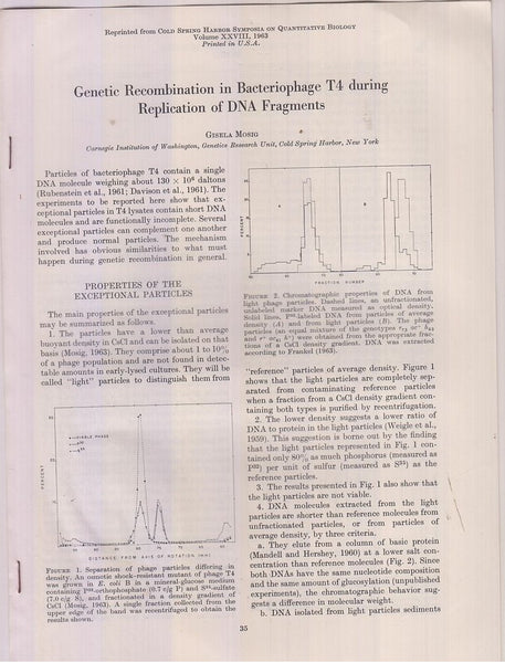 Genetic Recombination in Bacteriphage T4 during Replicaiton of DNA Fragments  by Mosig, Gisela