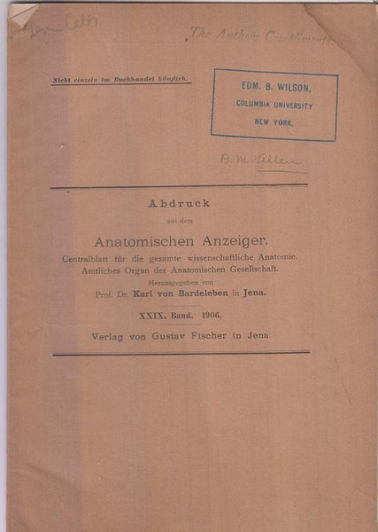 The Origin of Sex-Cells of Chrysemys  by Allen, Bennet M.