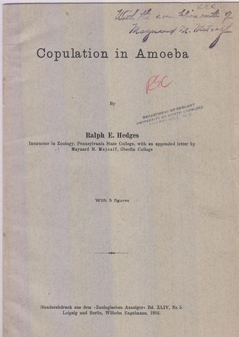 Copulation in Amoeba  by Hedges, Ralph E.
