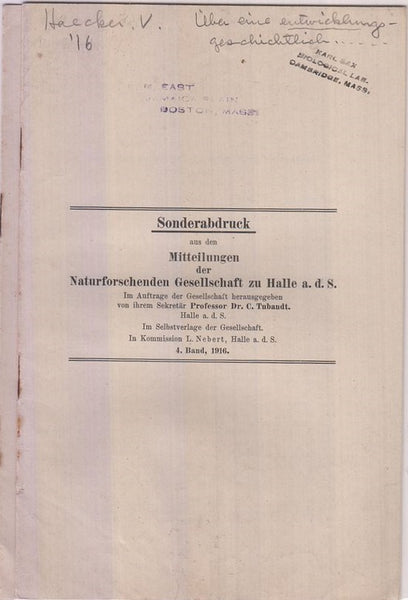 Uber eine entiwcklungsgeschichtlich begrundete vererbungsregel  by Haecker, V.