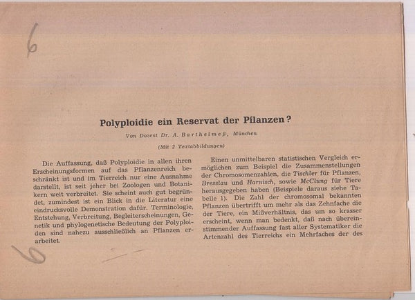 Polyploidie ein Reservat der Pflanzen  by Barthelmess, A.