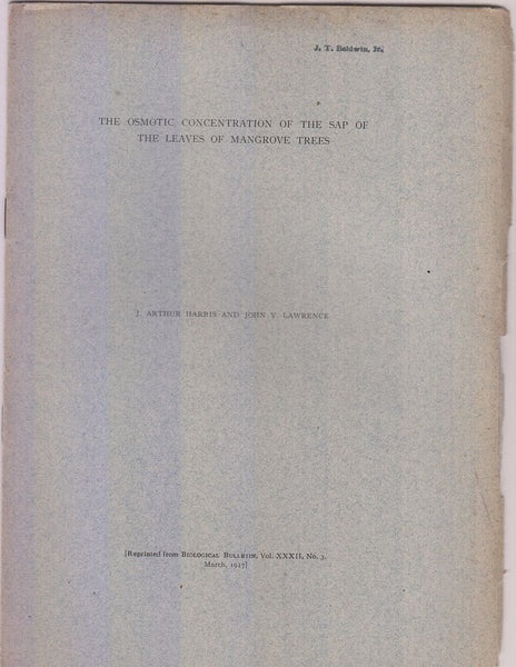 The Osmotic Concentration of the Sap of the leaves of Mangrove Trees  by Harris, J. Arthur, John V. Lawrence