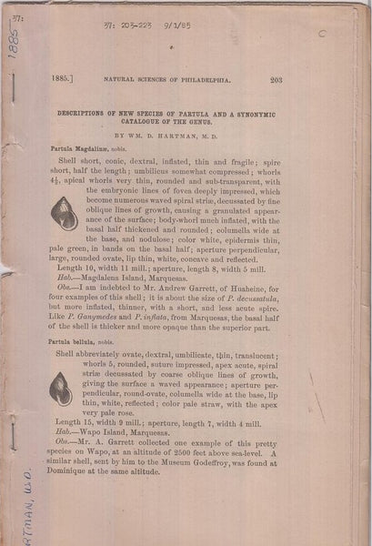Descriptions of New Species of Partula and a Synonymic Catalogue of the Genus  by Hartman, Wm. D.